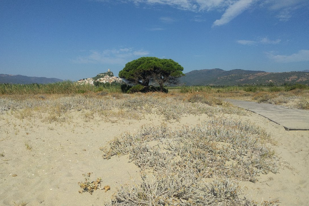 Spiaggia Di Sutt'e Riu (i 2 Pini)-Posada必去景点