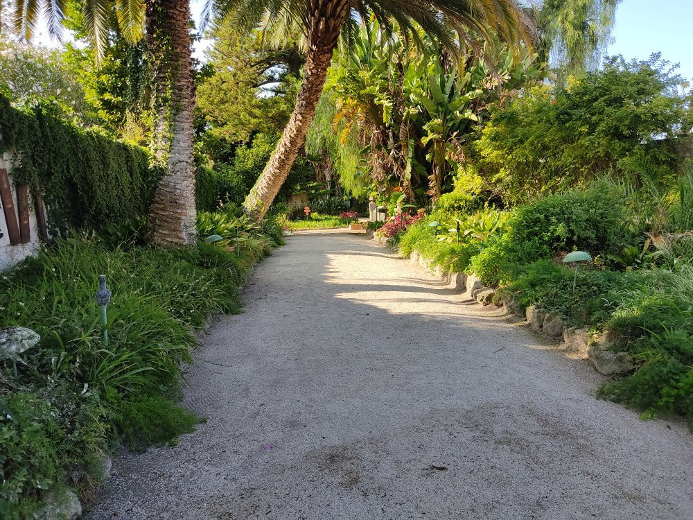 Parque Botânico do Monteiro-Mor景点图片