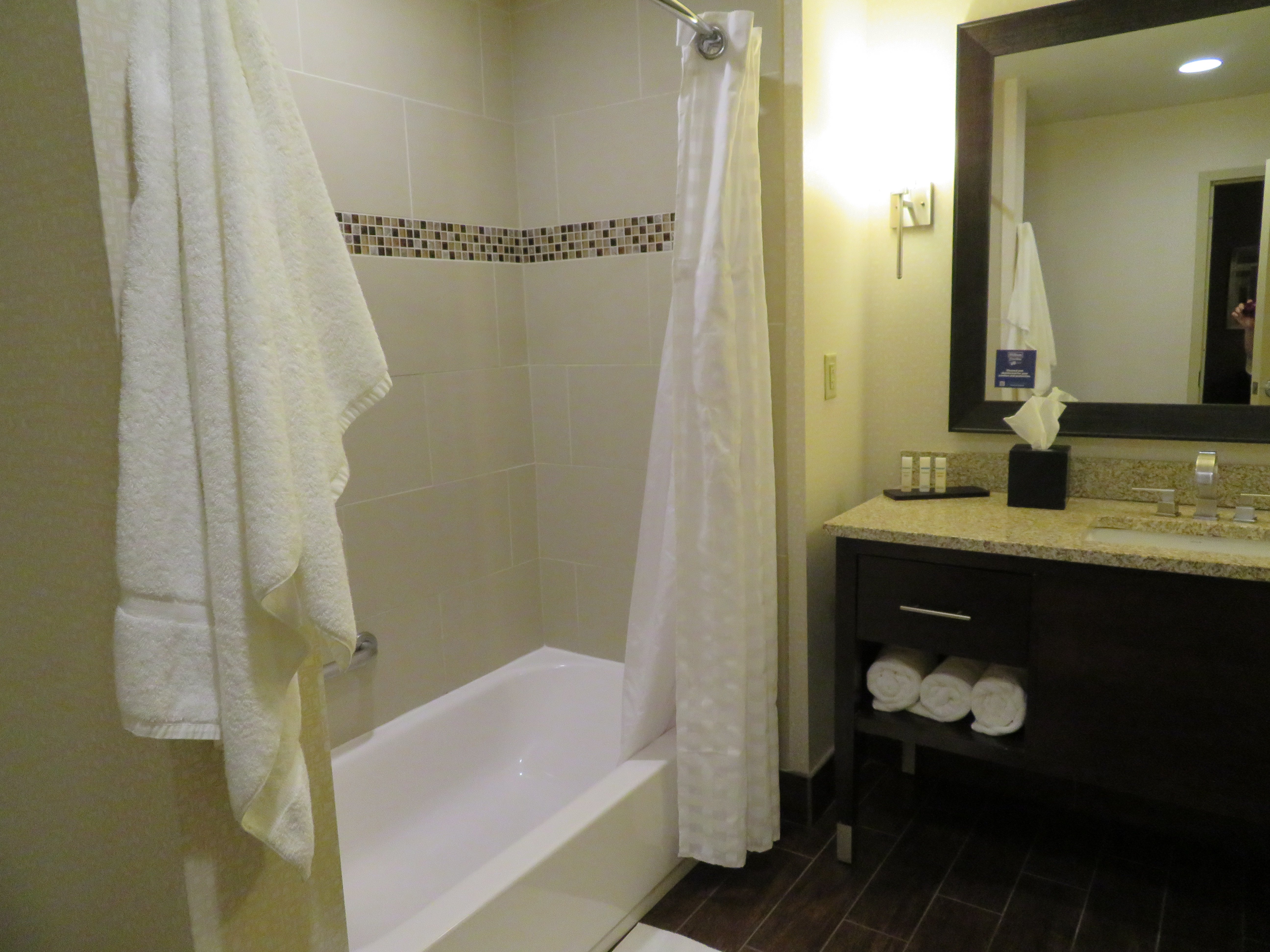 Embassy Suites by Hilton Fayetteville Fort Bragg-浴室