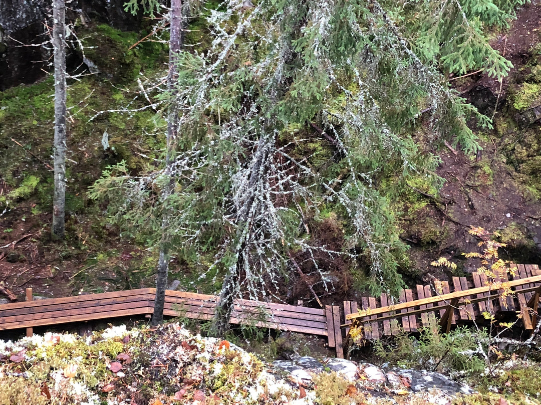 Orinoro Gorge-Leppavirta必去景点