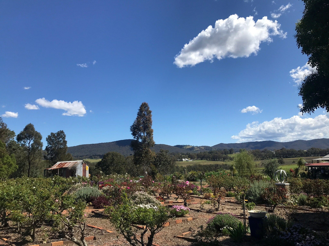 Hunter Valley Boutique Wine Tours景点图片