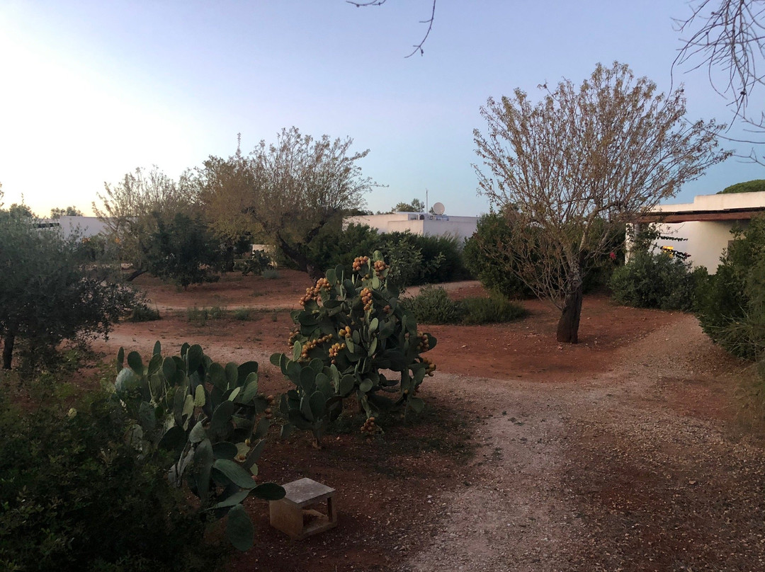 I Mulicchi Hotel主图