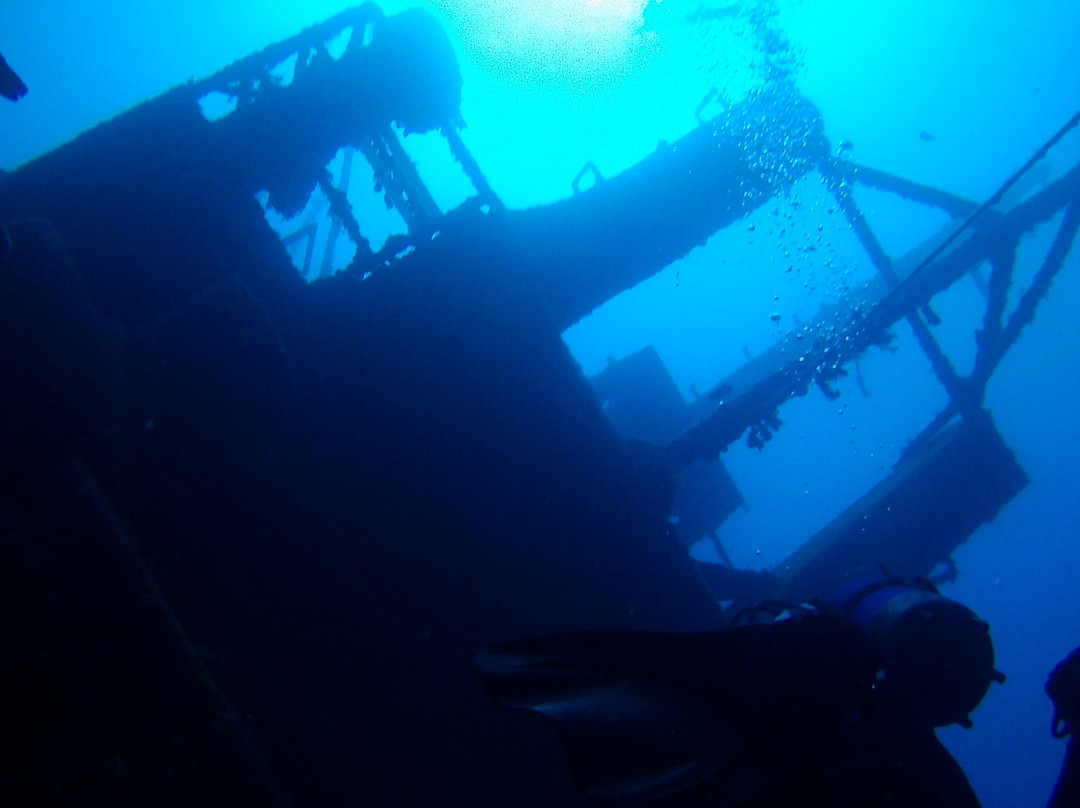 Ecological Divers Tenerife-Los Abrigos必去景点