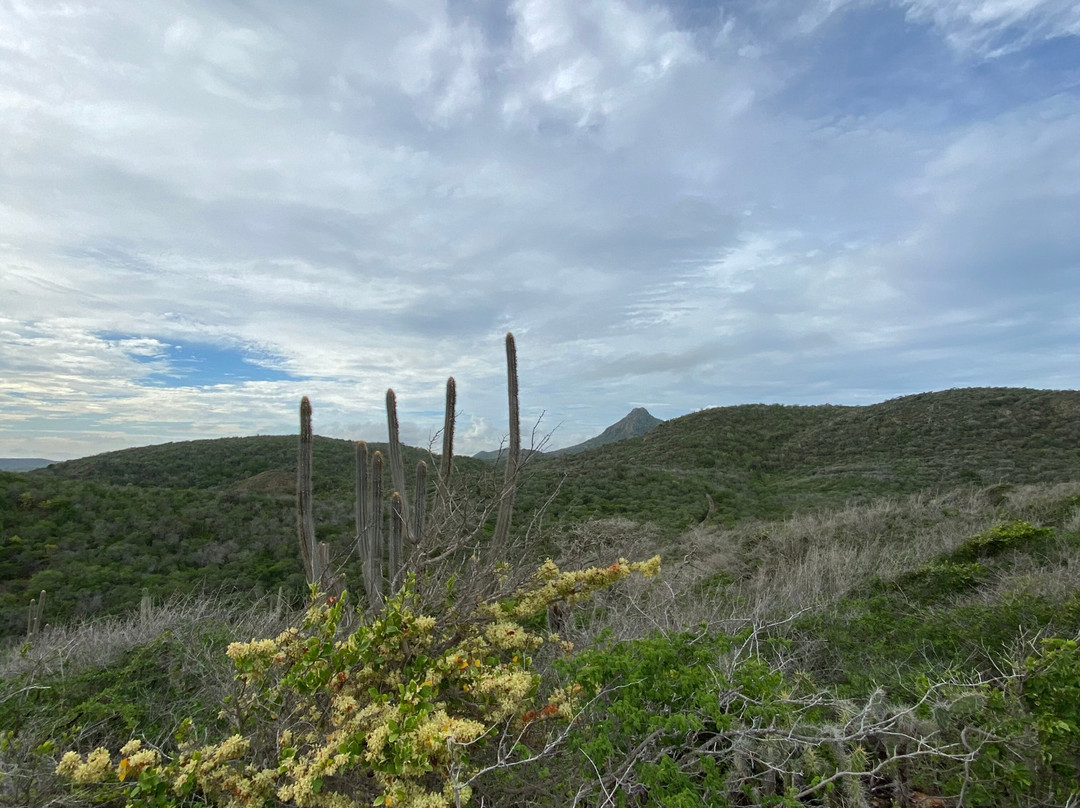 Christoffelpark-Sabana Westpunt必去景点