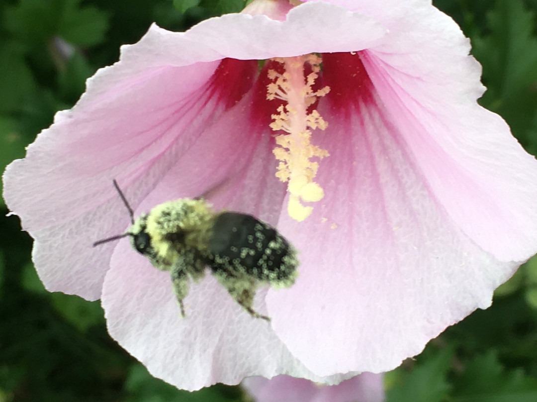 奇卡沙速8酒店主图