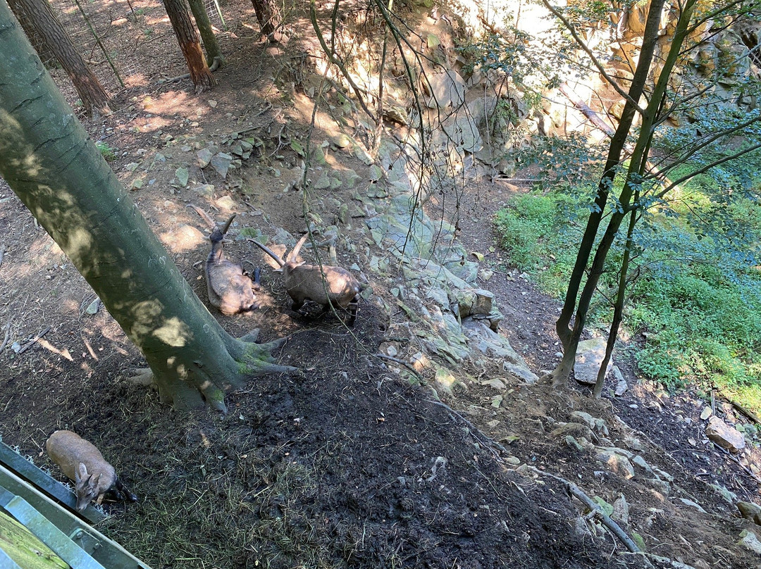 Ausflugspark am Steinbruchsee-Furth im Wald必去景点