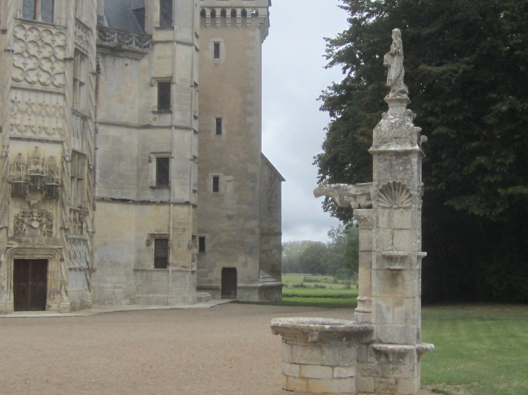 Château de Meillant景点图片