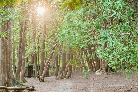 VoiceMap Audio Tours-伊劳拉必去景点