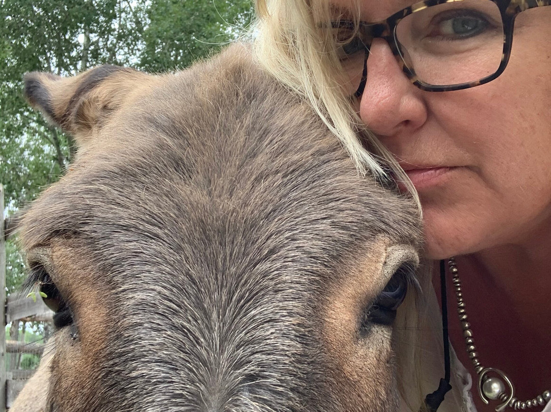 Whispered Dreams Ranch-Shabaqua必去景点