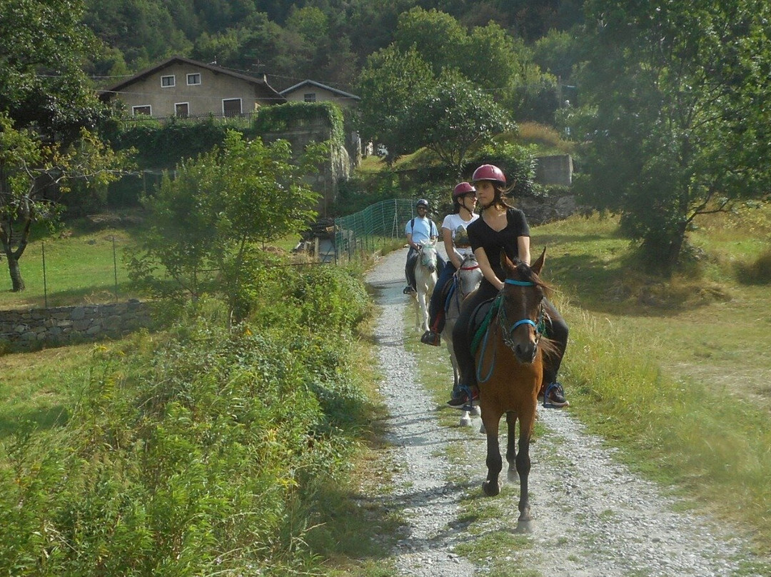 Cavallo e Natura-Saint-Vincent必去景点