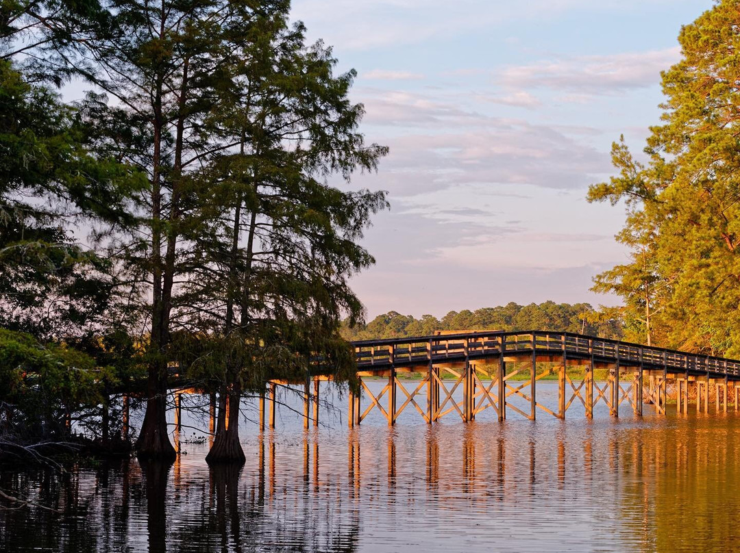 Martin Dies, Jr. State Park-Jasper必去景点