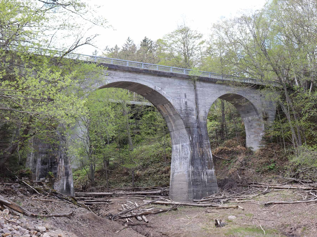 San no Sawa Railway Bridge-上士幌町必去景点
