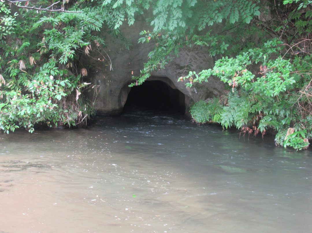 Tonokuchizeki Cave景点图片