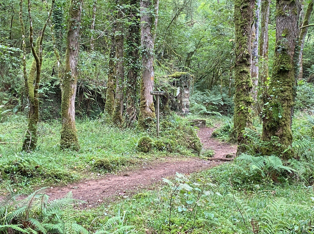 Ruta De Los Molinos-比拉维西奥萨必去景点