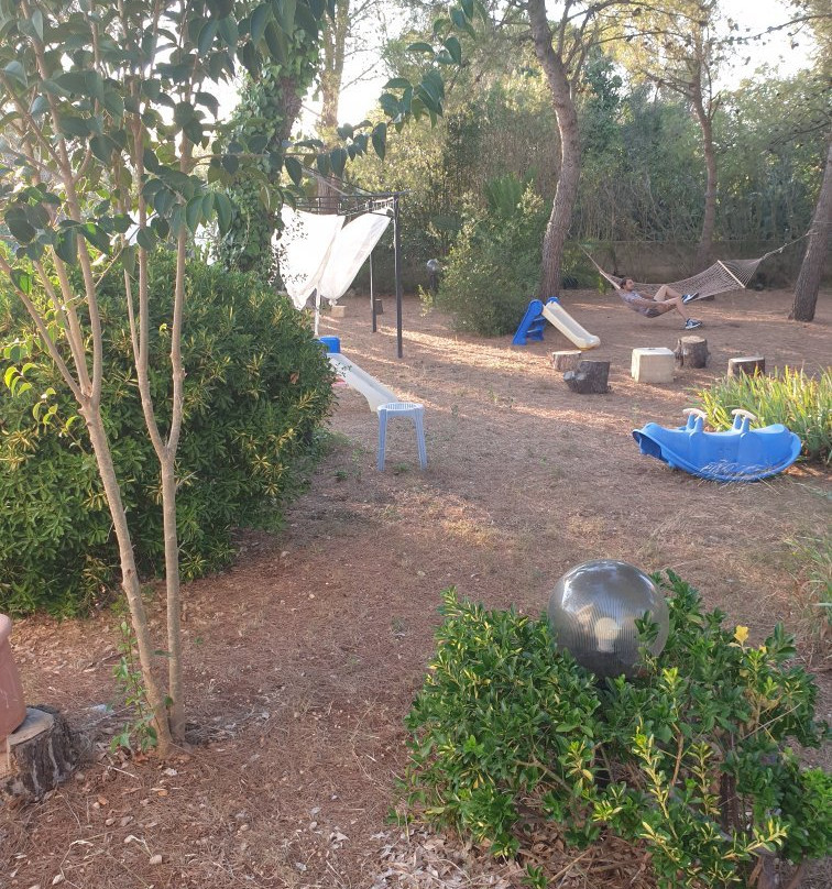 La Gazza Ladra主图