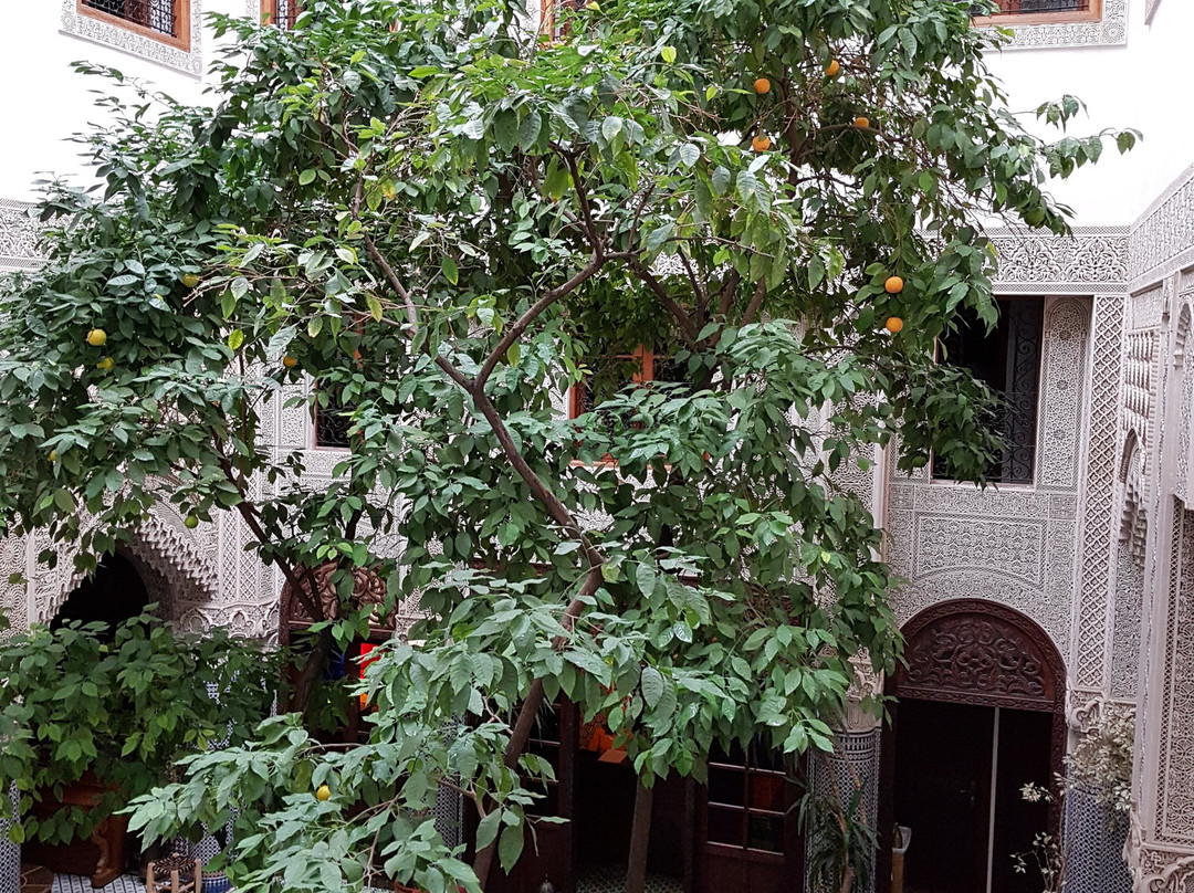 利亚德奥雅酒店主图