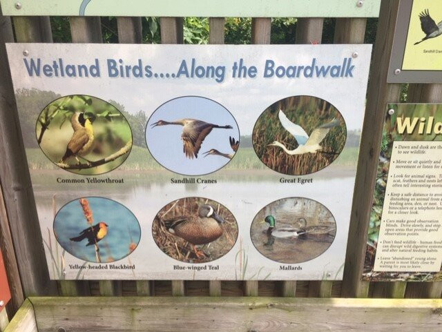 Horicon Marsh-Mayville必去景点