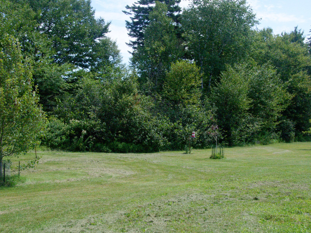 Campobello Whale Watch Motel主图