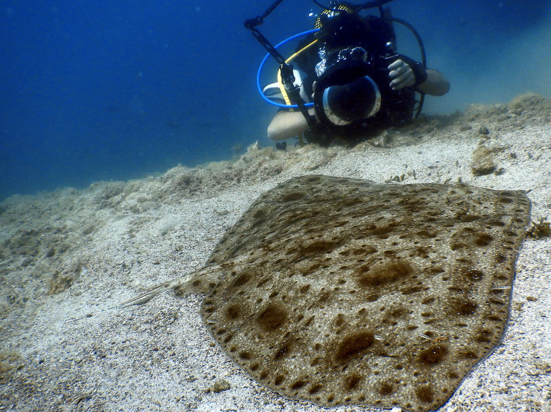 Derin Doga Dive Center-切什梅必去景点