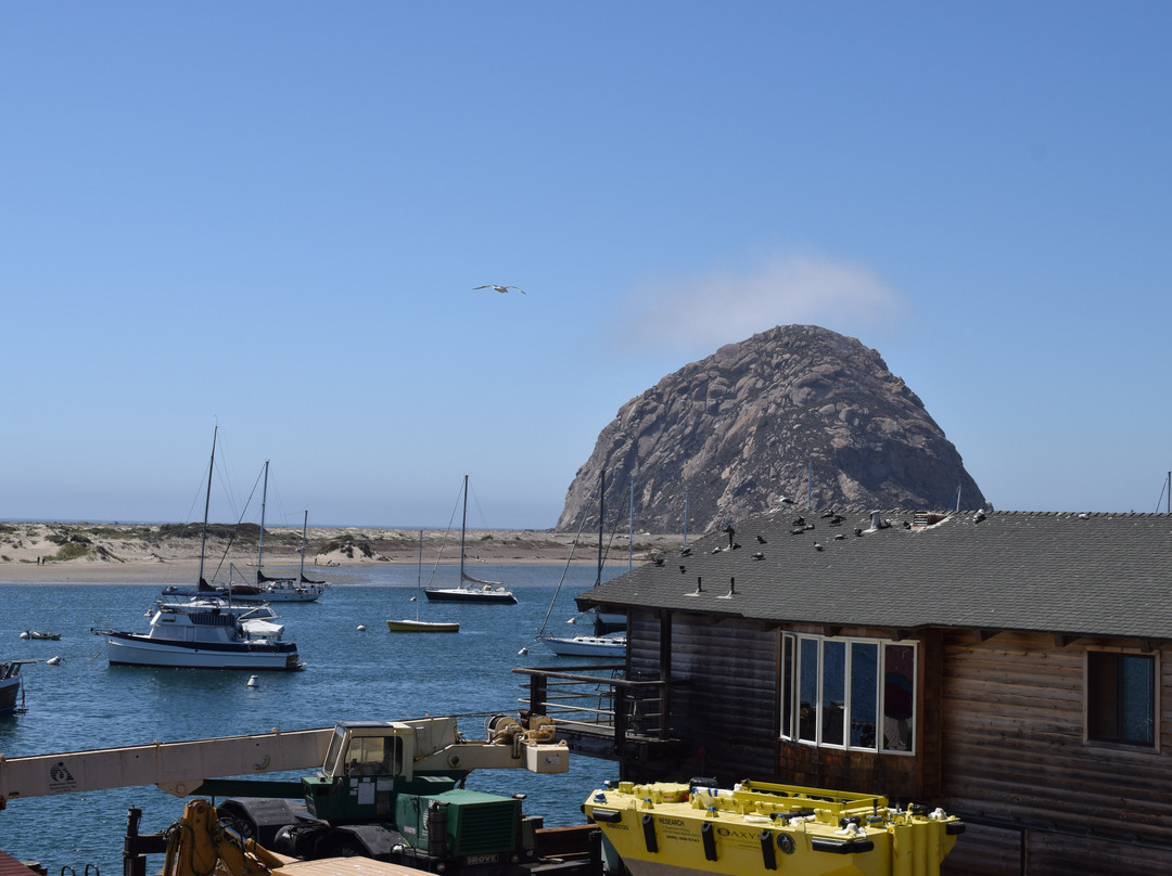 内河码头456号套房宾馆主图