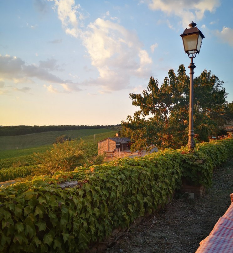 Castello di Bossi景点图片