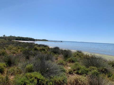 Mas Saint-Germain主图