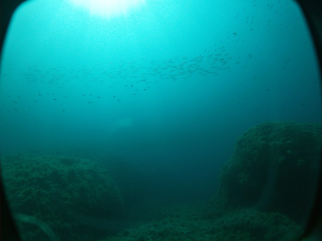 Dive4earth Diving center-Terrasini必去景点