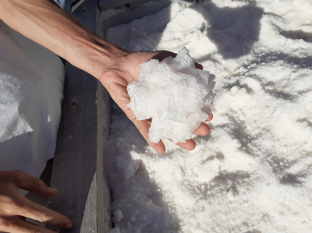 Salin de la Palme-La Palme必去景点