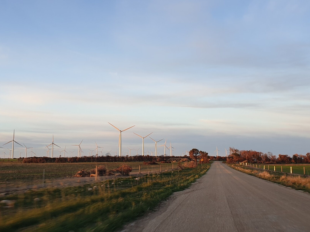 Wattle Point Wind Farm-Edithburgh必去景点