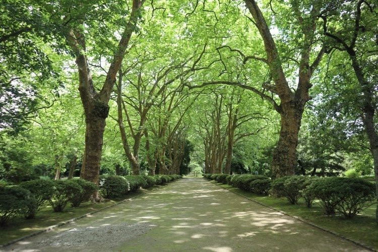 FUNtastic Azores Tours-蓬塔德尔加达必去景点