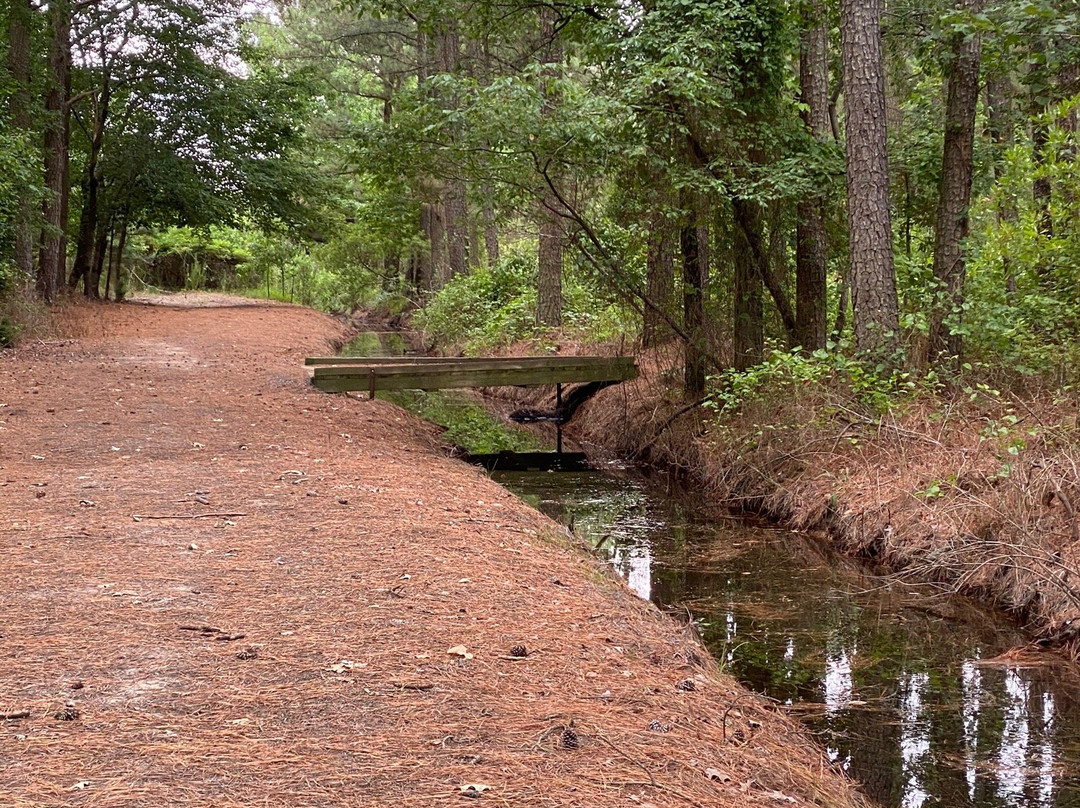 Janes Island State Park-Crisfield必去景点