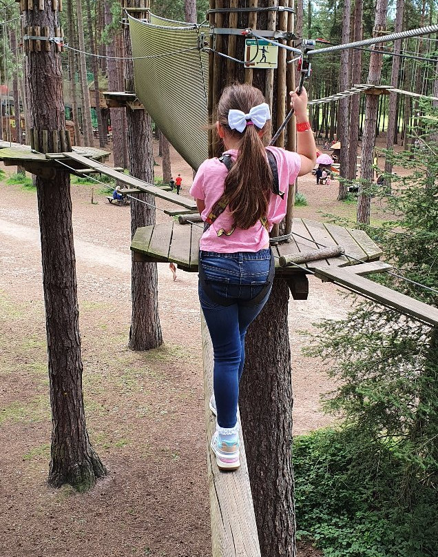 Go Ape Sherwood景点图片