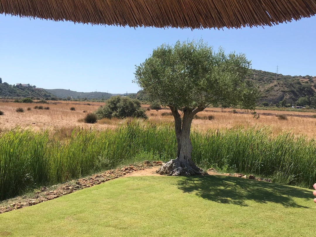 Tapada Do Gramacho主图