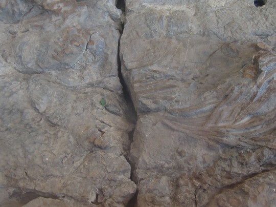 L'Ichtyosaure-La Robine-sur-Galabre必去景点