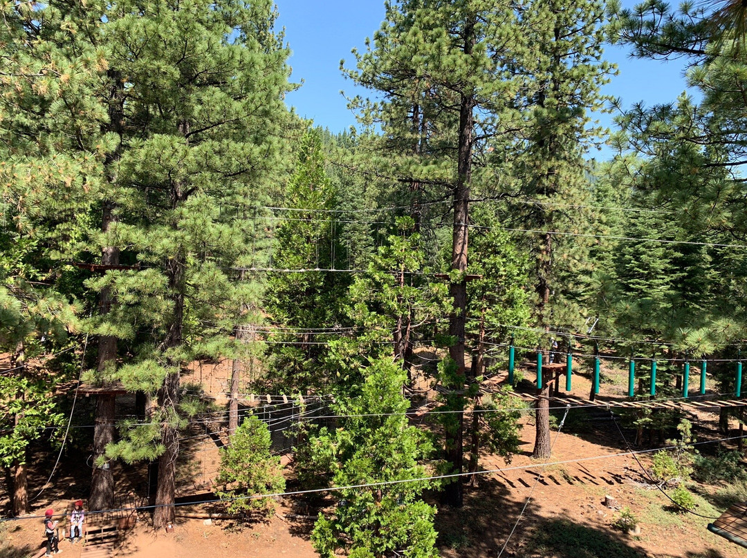 Tahoe Vista Treetop景点图片