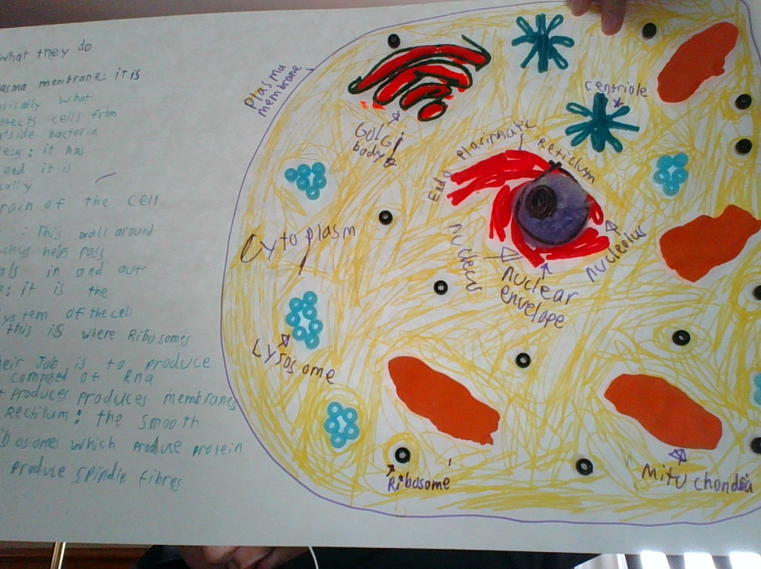 Franconia Notch Guest House主图