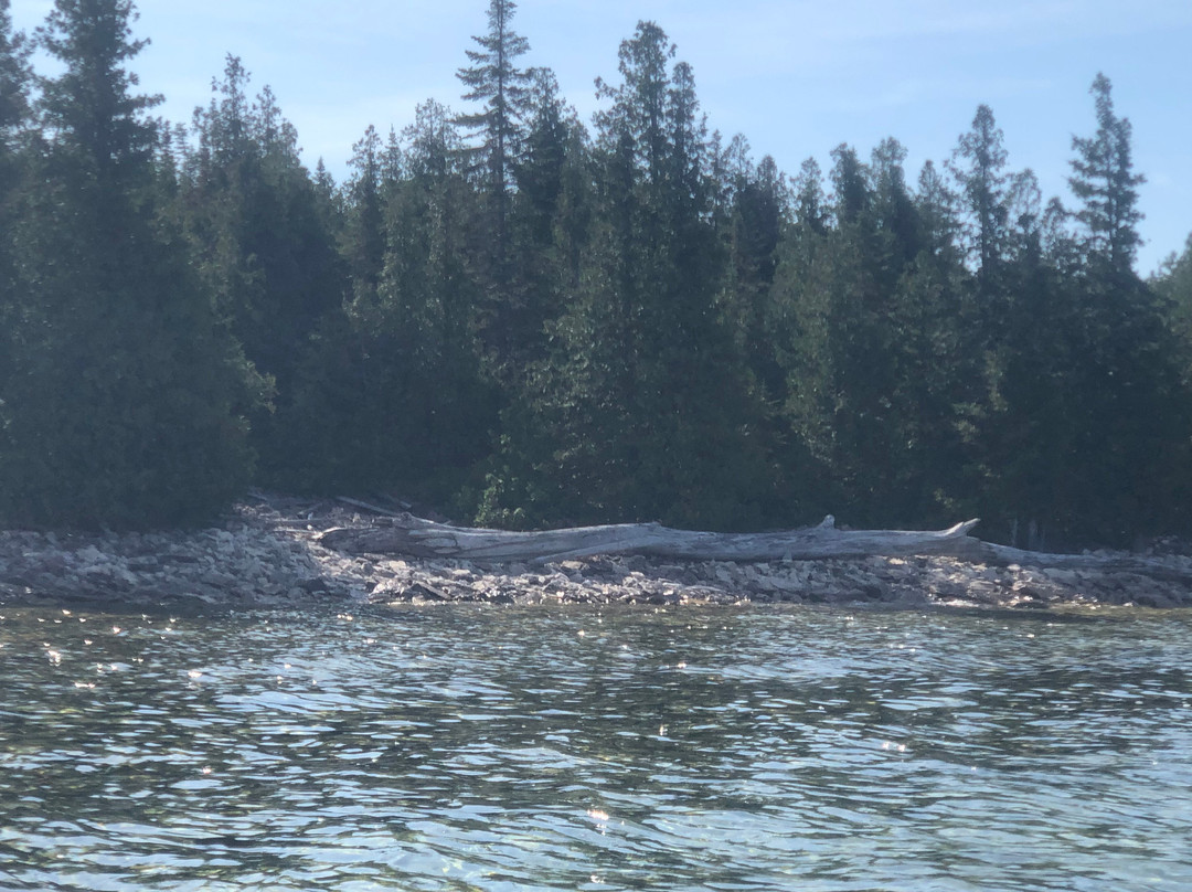 Johnston Harbour - Pine Tree Point Provincial Nature Reserve景点图片