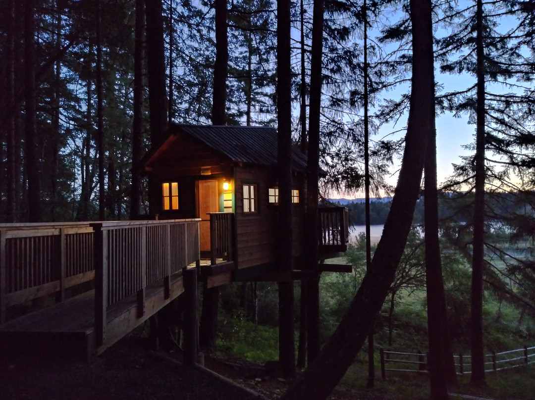 Vertical Horizons Treehouse Paradise主图