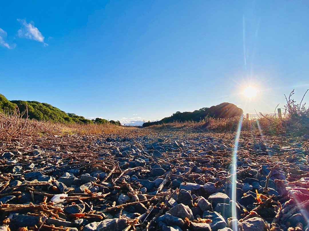 Wairau Lagoons Walkway景点图片