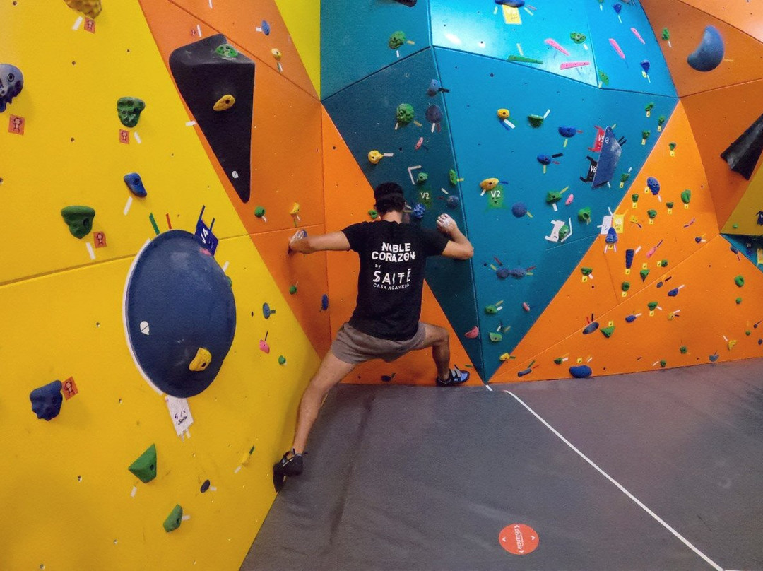 Playfulness-Bucerias必去景点