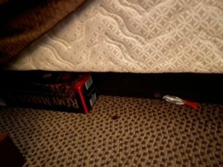 Wingate by Wyndham Green Bay Airport主图