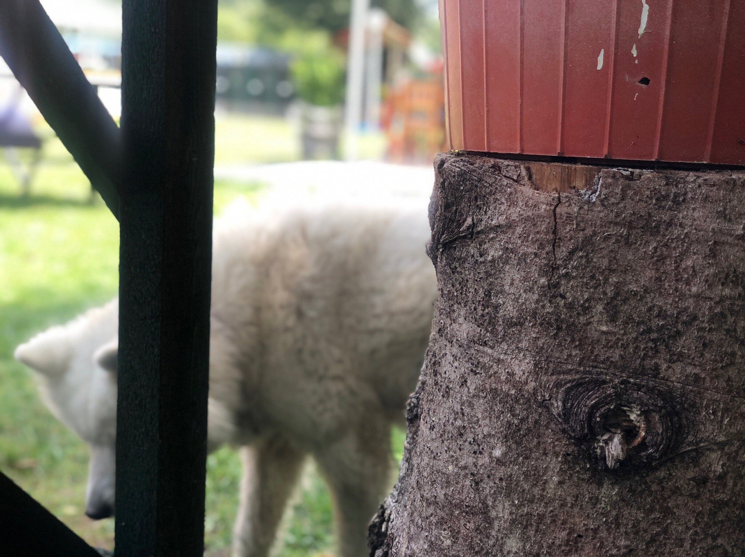 ABANT Bahceli Kosk主图