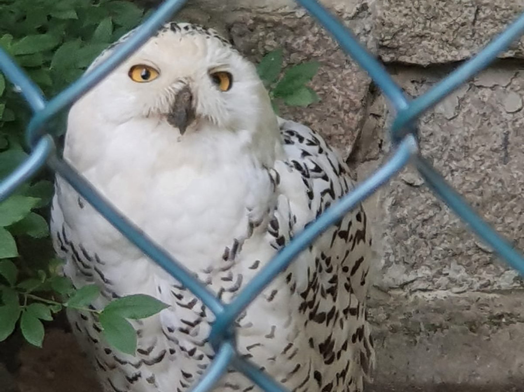 Wildpark Christianental景点图片
