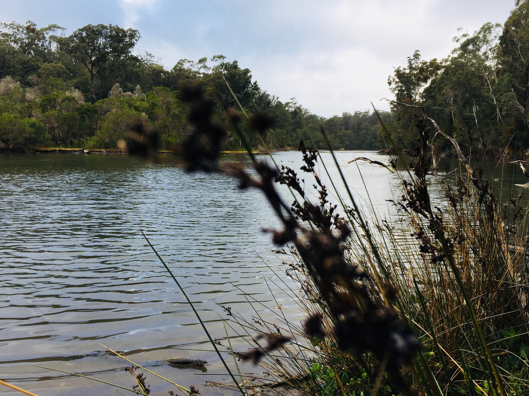 Wetlands Walk景点图片