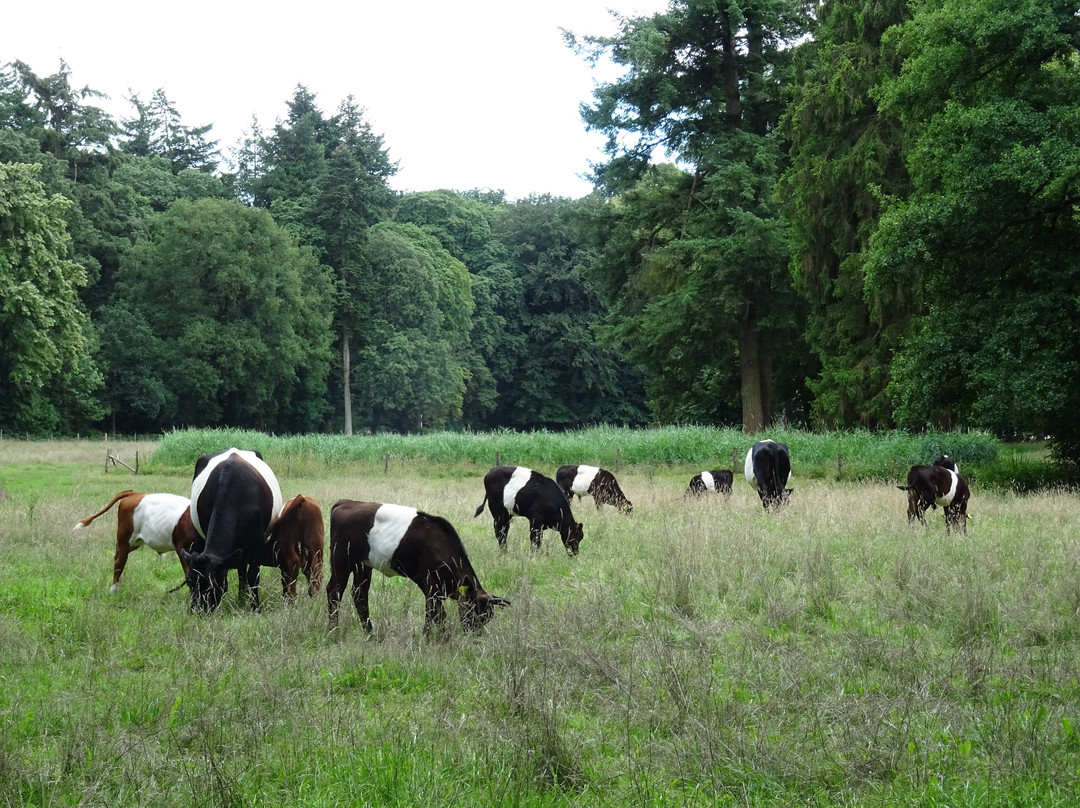 Landgoed Hotel & Restaurant Groot Warnsborn主图