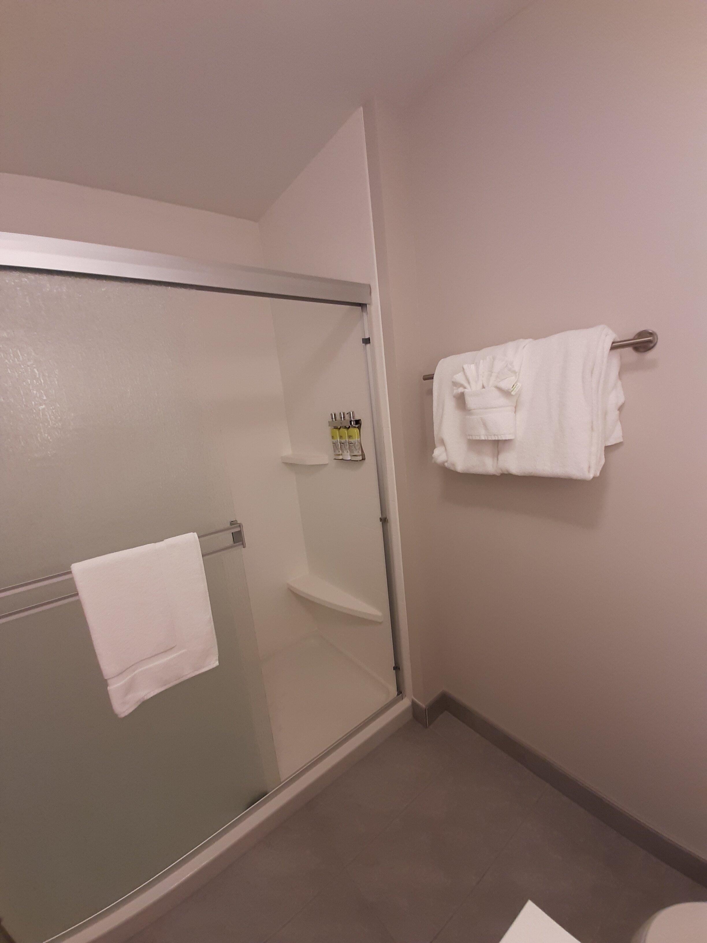 Holiday Inn Express & Suites Rice Lake By IHG-浴室