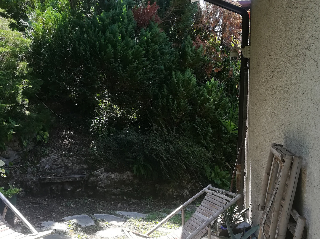 Le Ortensie Due主图