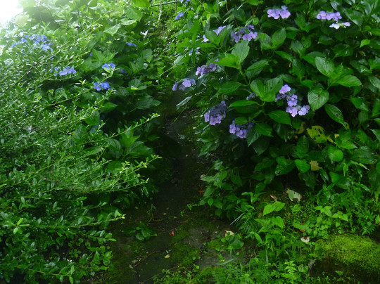 Hie Shrine-桧原村必去景点