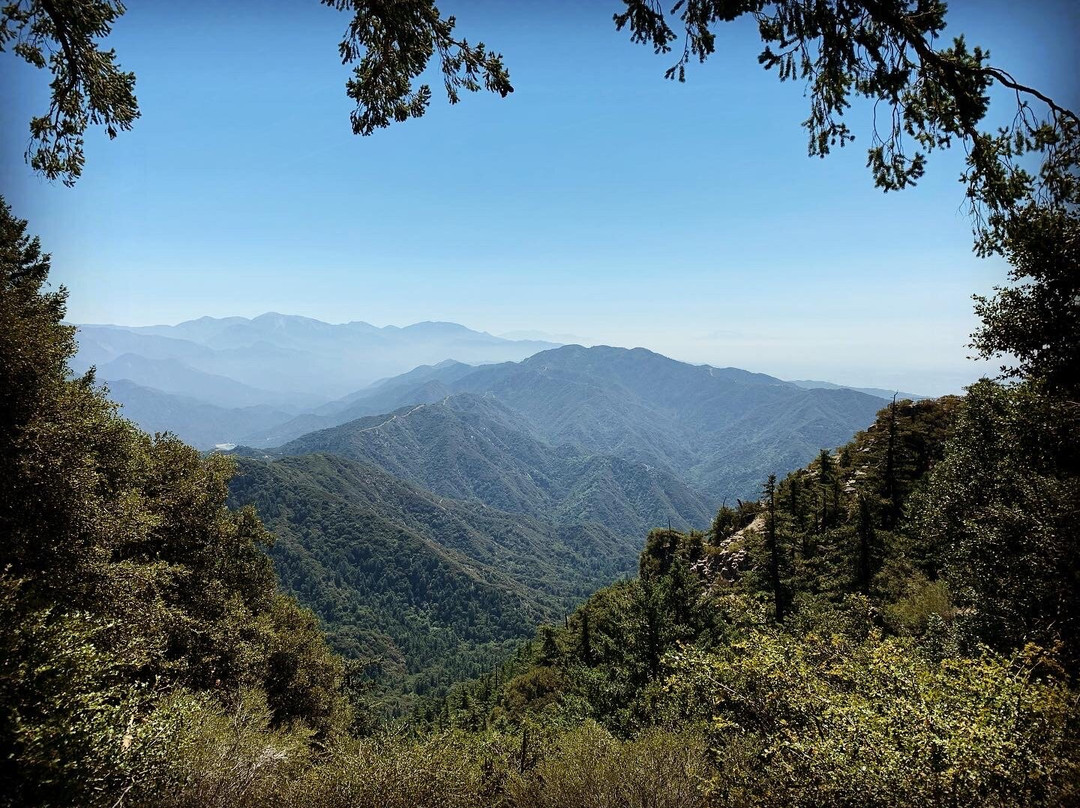 Mount Wilson Observatory-拉肯纳达石岭必去景点