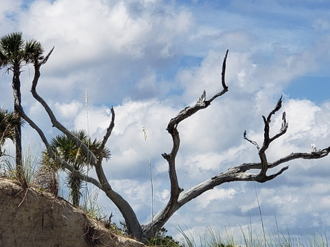 Coastal Expeditions-福利比奇必去景点
